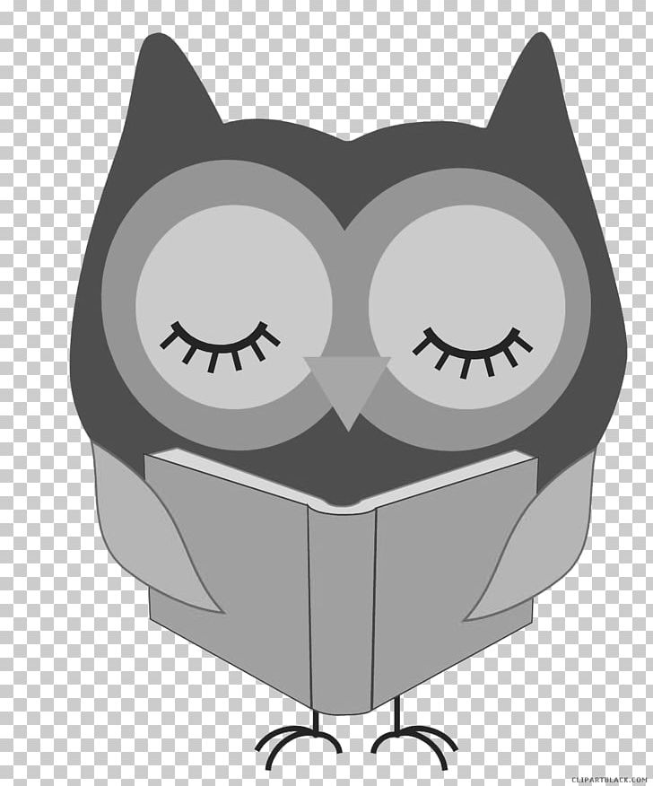 Owl Reading Free Content PNG, Clipart, Angle, Animal, Animals, Bird, Bird Of Prey Free PNG Download