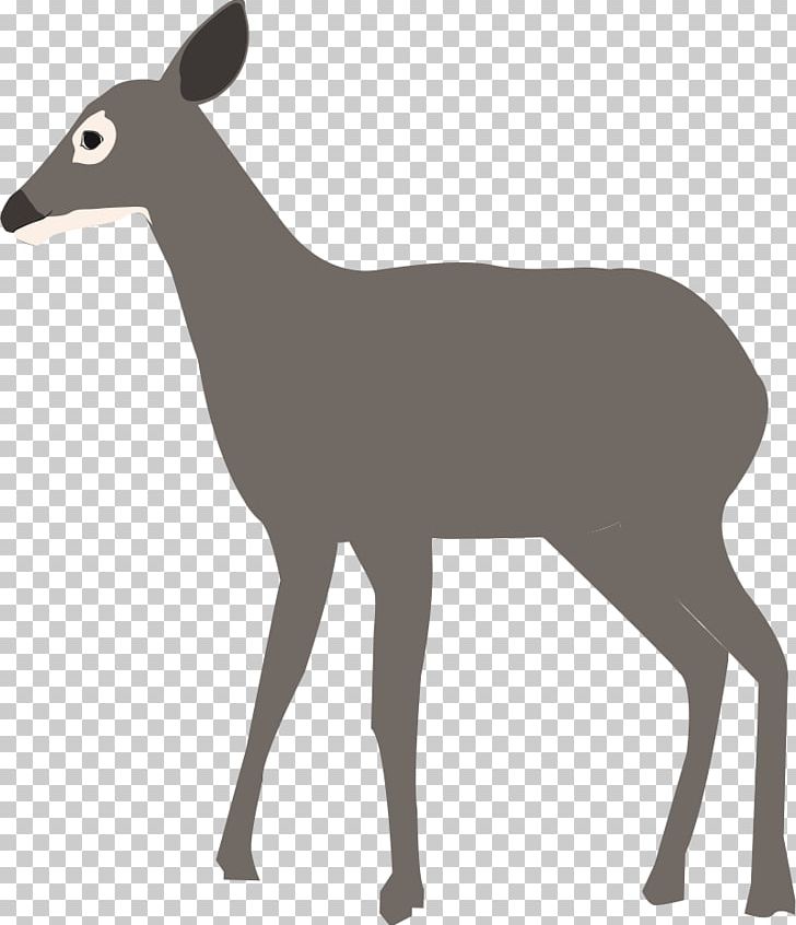 White-tailed Deer Elk Antelope PNG, Clipart, Animal, Animals, Antelope, Antler, Black Free PNG Download