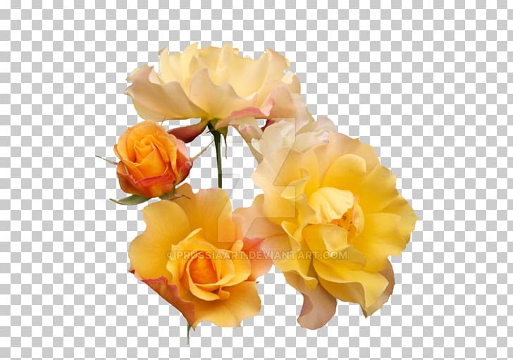 Garden Roses Cabbage Rose Yellow Cut Flowers Floribunda PNG, Clipart, Artificial Flower, Cut Flowers, Floral Design, Floribunda, Floristry Free PNG Download