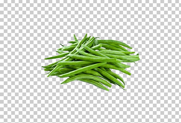 Green Bean Organic Food Philippine Adobo Vegetable PNG, Clipart, Bean, Bell Pepper, Broccoli, Common Bean, Food Drinks Free PNG Download