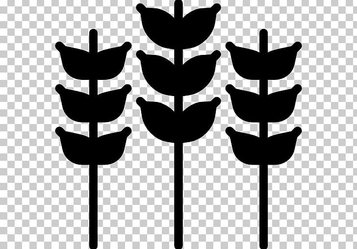 Leaf Plant Stem Tree White PNG, Clipart, Black And White, Grains, Leaf, Line, Plant Free PNG Download