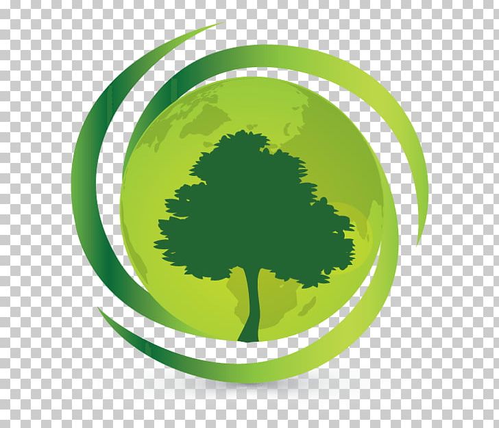 Základná škola Park Angelinum 8 Business Indian Green Building Council Cloud Tree PNG, Clipart, Business, Campsite, Chittagong, Circle, Cloud Tree Free PNG Download