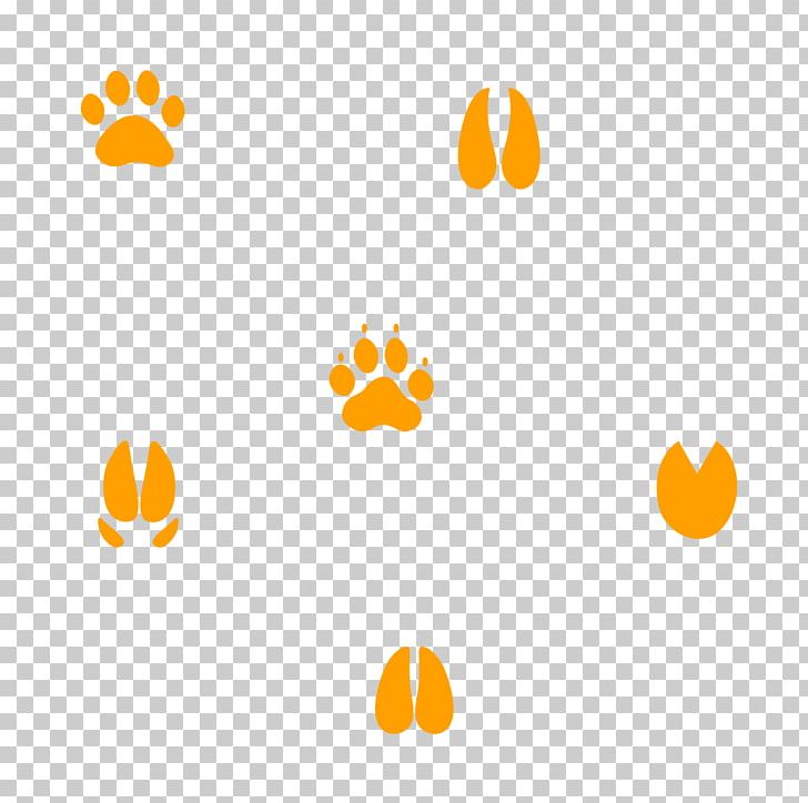 Cougar Gray Wolf Coyote Lion Animal Track PNG, Clipart, Animal, Animals, Animal Track, Bobcat, Coffee Bean Free PNG Download
