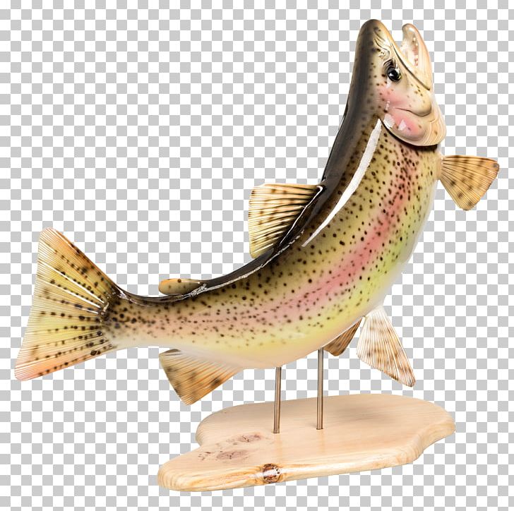 Fishing Brown Trout Europe PNG, Clipart, Animals, Askari, Brown Trout, Centimeter, Europe Free PNG Download