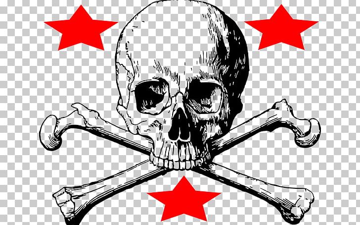 Skull And Bones Skull And Crossbones Anatomy PNG, Clipart, Anatomy, Artwork, Black And White, Bone, Bones Free PNG Download