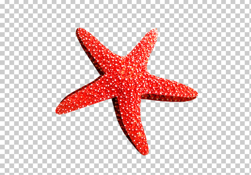Starfish Red Pink Pattern PNG, Clipart, Pink, Red, Starfish Free PNG Download