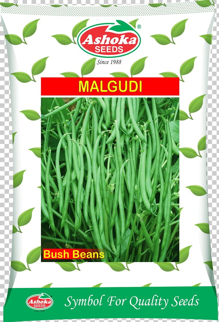 Ashoka Farm Aids Herb Common Bean Seed PNG, Clipart, Bean, Business, Commodity, Common Bean, Food Free PNG Download