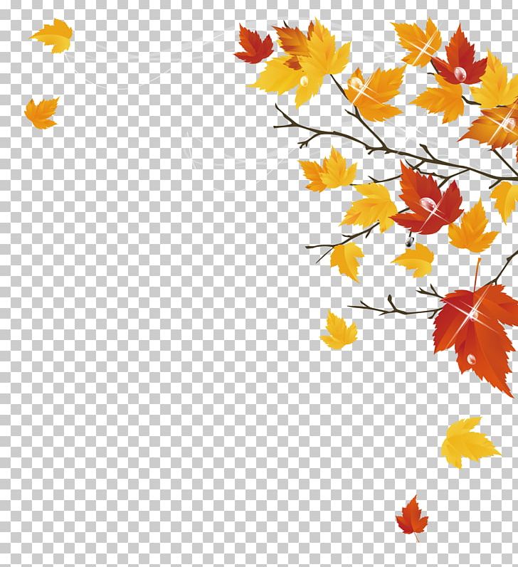 Autumn Maple Leaf PNG, Clipart, Autumn Leaves, Autumn Maple Leaf, Autumn Tree, Branch, Decorative Patterns Free PNG Download