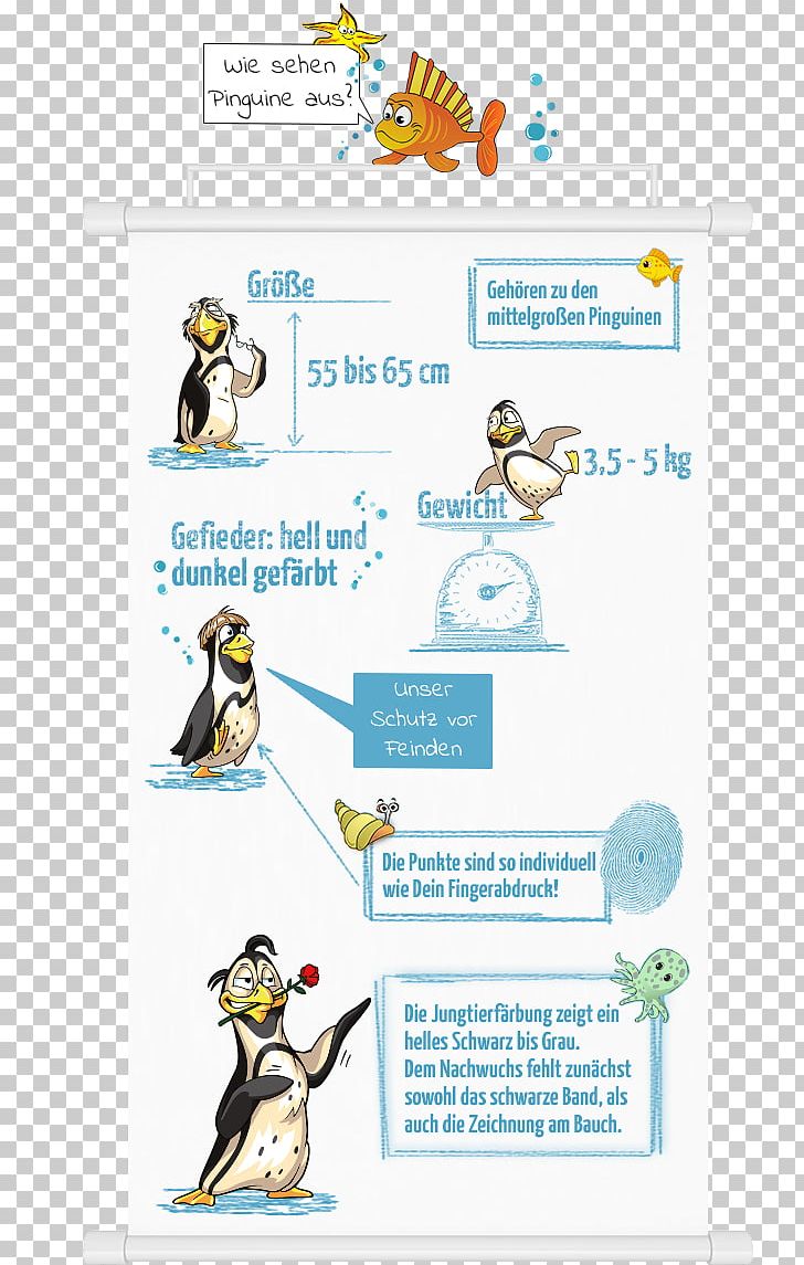 Flightless Bird Illustration Line PNG, Clipart, Area, Art, Bird, Cartoon, Diagram Free PNG Download