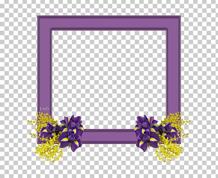 Floral Design Mimosa Salad Cut Flowers Frames PNG, Clipart, Art, Border, Cut Flowers, Family, Flora Free PNG Download