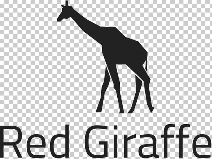Giraffe Mustang Kluwer Arbitration Logo Brand PNG, Clipart, Animals, Black And White, Brand, Dark Logo, Giraffe Free PNG Download
