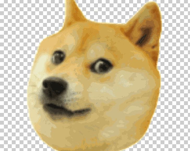 Shiba Inu Doge Run Hokkaido Dog PNG, Clipart, Akita Inu, Breed, Carnivoran, Dog, Dog Breed Free PNG Download