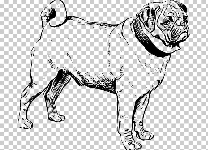 Puggle French Bulldog Poodle Puppy PNG, Clipart, Art, Black, Black And White, Black Pug Cliparts, Carnivoran Free PNG Download