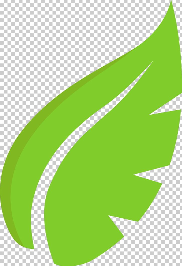 Leaf Plant PNG, Clipart, Angle, Computer Icons, Desktop Wallpaper, Download, Fern Free PNG Download