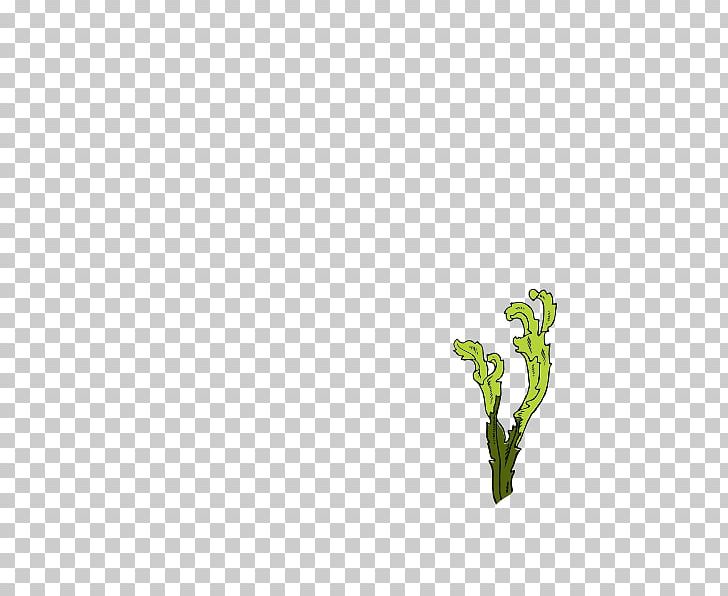 Leaf Plant Stem Tree PNG, Clipart, Branch, Branching, Flora, Grass, Green Free PNG Download