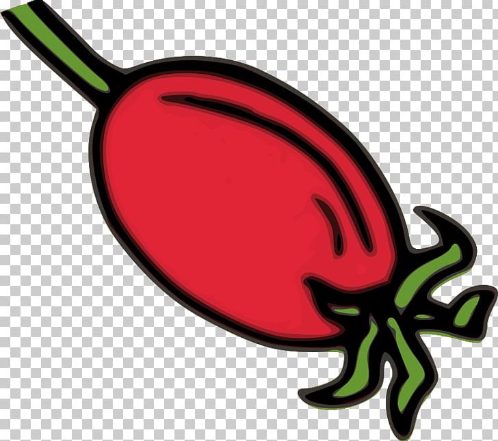 Rose Hip Dog-rose PNG, Clipart, Artwork, Dogrose, Food, Fruit, Herb Free PNG Download