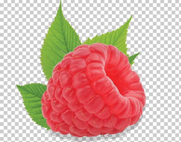 Strawberry Red Raspberry Accessory Fruit PNG, Clipart,  Free PNG Download
