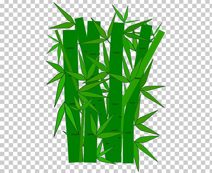 Bamboo Giant Panda PNG, Clipart, Background Green, Bamboo, Bamboo Vector, Download, Drawing Free PNG Download