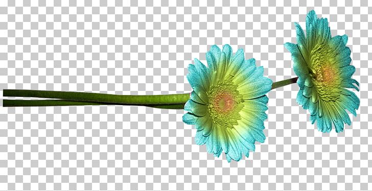 Common Daisy Blue Flower PNG, Clipart, Bloemen, Blue, Color, Common Daisy, Daisy Free PNG Download