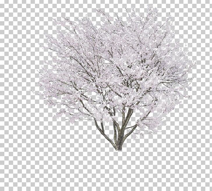 Stock Photography PNG, Clipart, 3d Computer Graphics, Black And White, Blossom, Branch, Cherry Blossom Free PNG Download