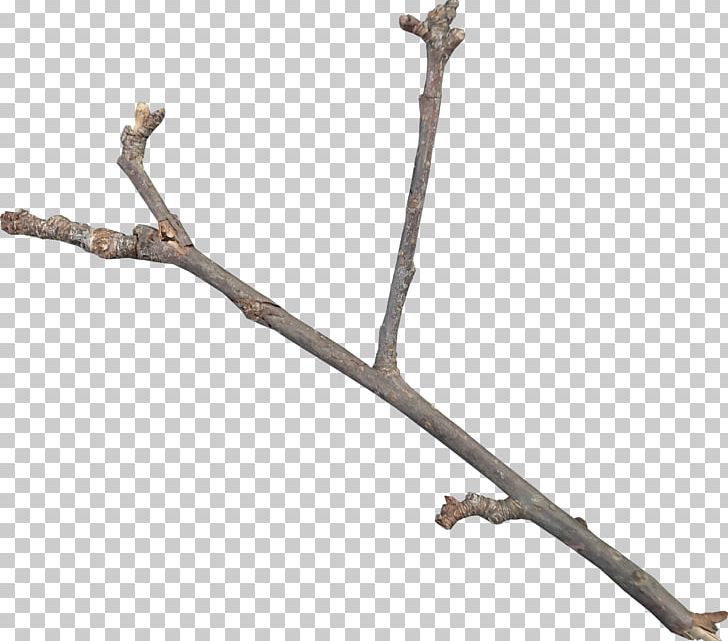 Twig Icon PNG, Clipart, Abstract Shapes, Branch, Branches, Computer Icons, Data Compression Free PNG Download