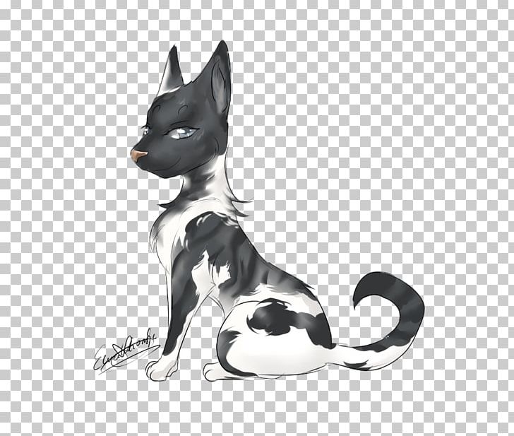 Whiskers Dog Breed Cat White PNG, Clipart, Animals, Black And White, Breed, Carnivoran, Cat Free PNG Download