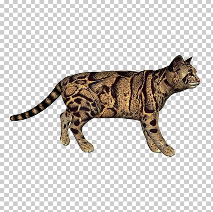 Bengal Cat Tiger Leopard Cat Eurasian Lynx PNG, Clipart, Animal, Animals, Bengal Cat, Big Cat, Big Cats Free PNG Download