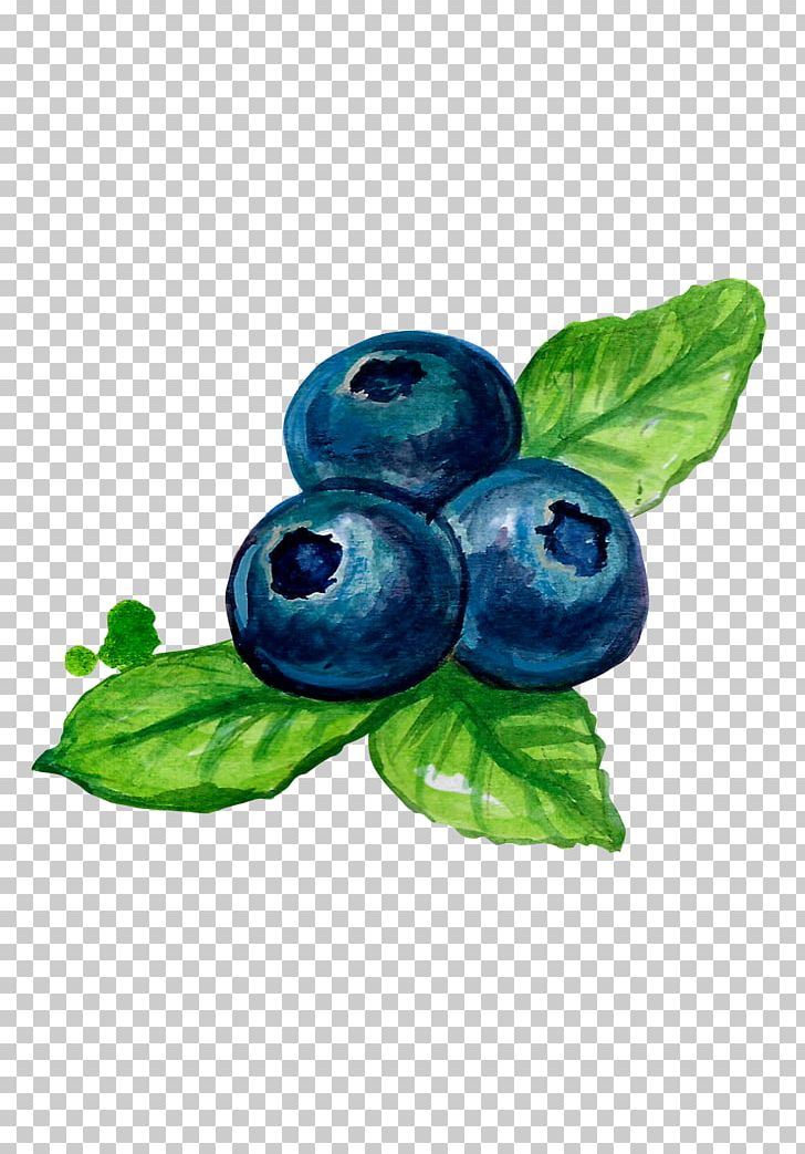 Bilberry Blueberry Fruit PNG, Clipart, Berry, Bilberry, Blue, Blueberry, Download Free PNG Download