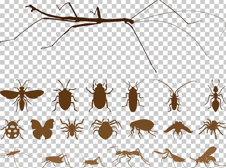 Mosquito Insect Spider Euclidean PNG, Clipart, Animals, Arthropod, Branch, Brown, Brown Vector Free PNG Download