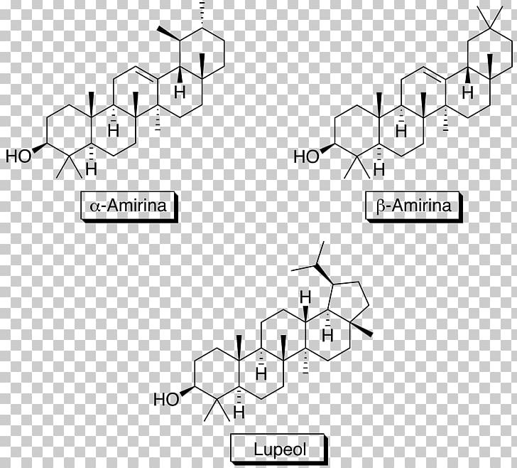 Saponina Triterpénica Triterpene Amyrin Molecule PNG, Clipart, Amyrin, Angle, Area, Auto Part, Betulin Free PNG Download