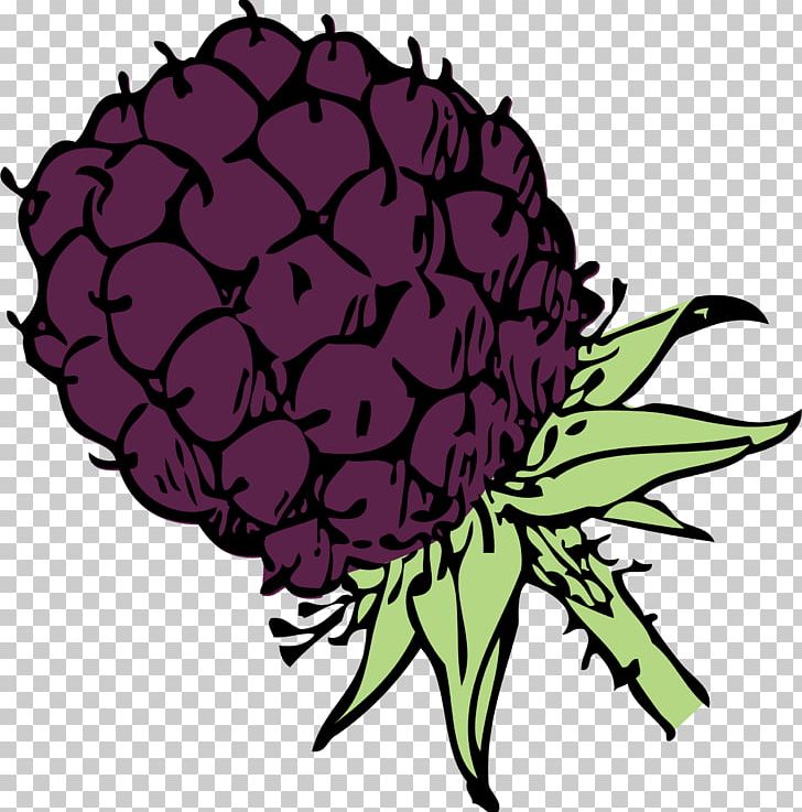 Blackberry Stew Coloring Book Fruit PNG, Clipart, Berry, Blackberry, Blackberry Stew, Book, Color Free PNG Download