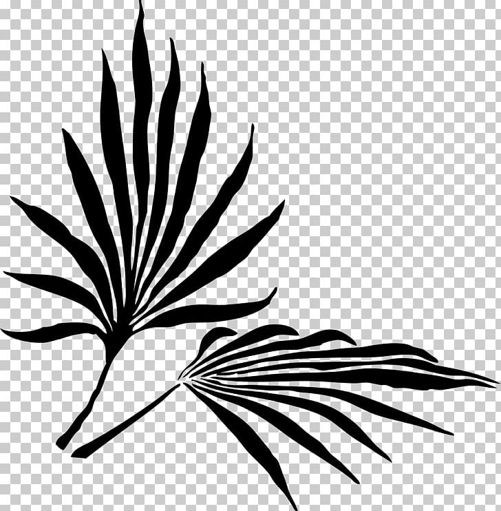Frond Arecaceae Leaf Palm Branch Silhouette PNG, Clipart, Arecaceae, Artwork, Black And White, Branch, Drawing Free PNG Download