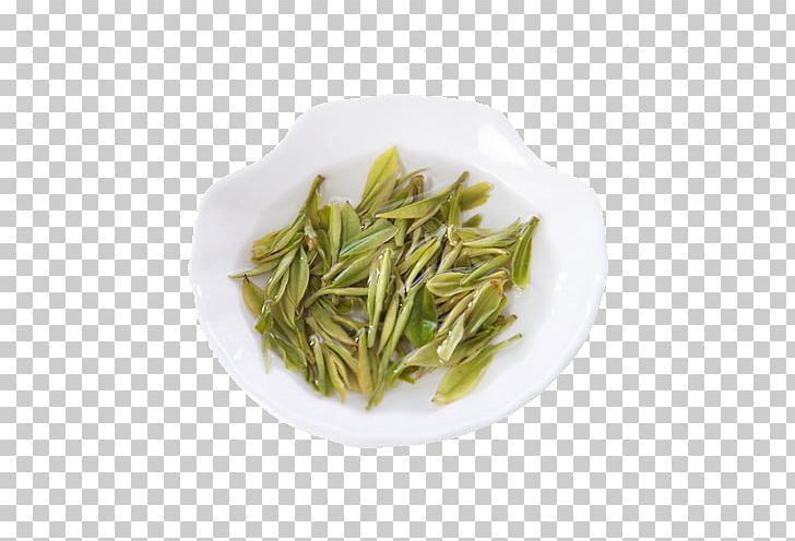 Hu014djicha Nilgiri Tea Baihao Yinzhen Green Tea Huangshan Maofeng PNG, Clipart, Background Green, Baihao Yinzhen, Bai Mudan, Bancha, Biluochun Free PNG Download