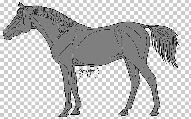 Mule Oligocene Mustang Stallion Foal PNG, Clipart, Animal, Animal Figure, Arabian Horse, Colt, Drawing Free PNG Download