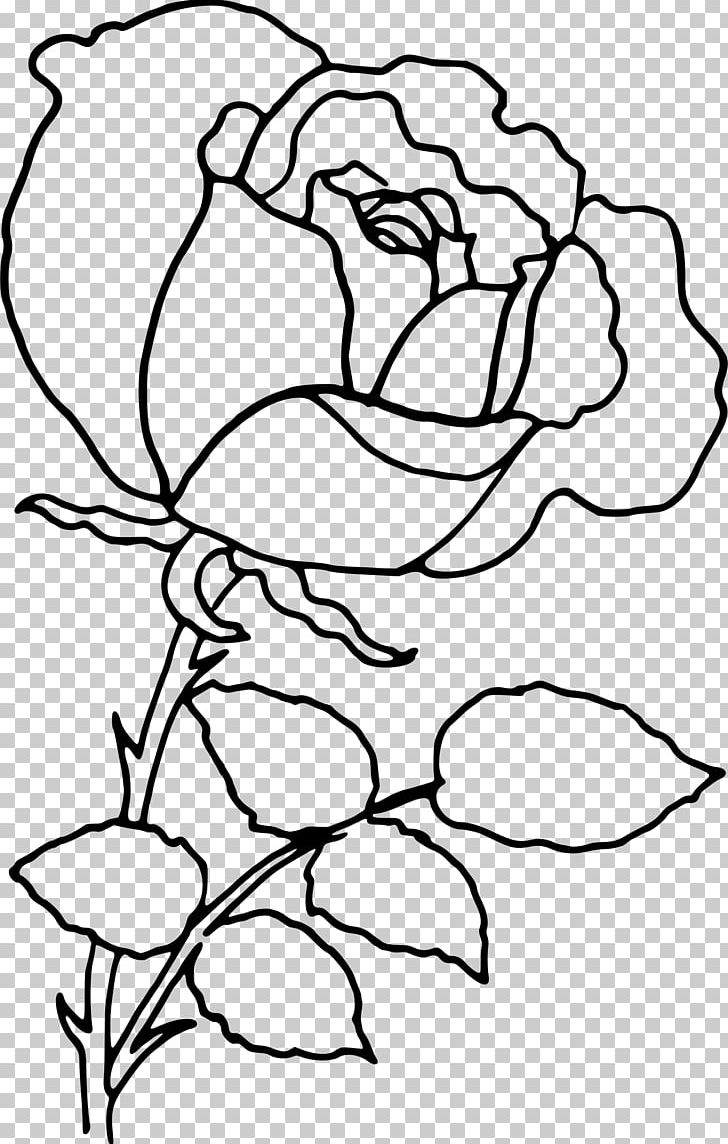 Rose Flower Drawing Images - Drawing Skill