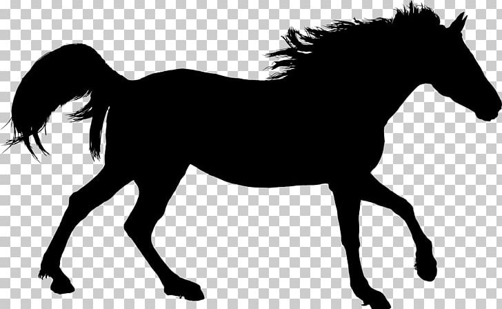 American Quarter Horse Equestrian PNG, Clipart, American Quarter Horse, Animals, Black, Black And White, Bridle Free PNG Download