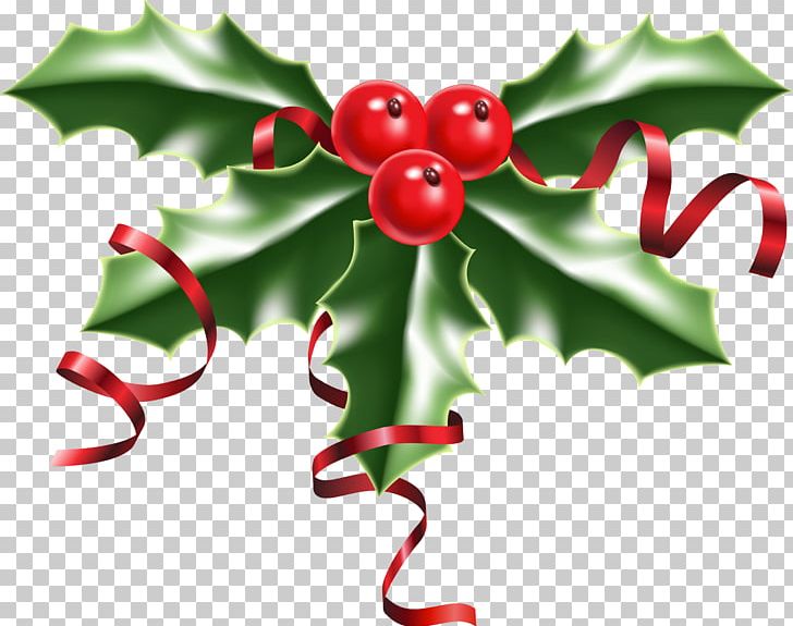 Common Holly Christmas PNG, Clipart, Aquifoliales, Berry, Branch, Christmas, Christmas Decoration Free PNG Download