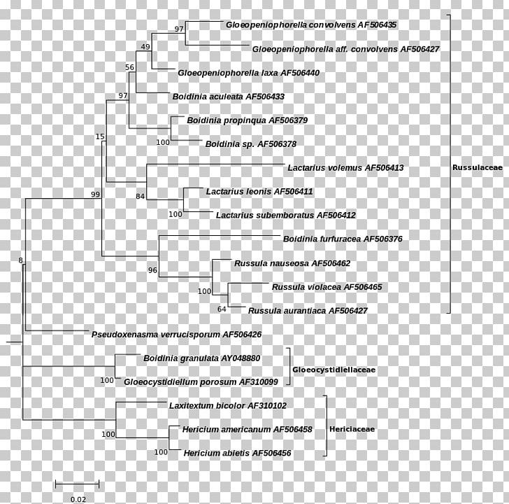 Phylogenetic Tree Cladogram Phylogenetics PNG, Clipart, 2002, Angle, Area, Black And White, Cladogram Free PNG Download