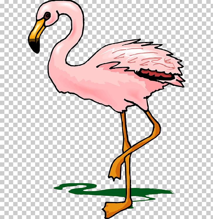 Flamingo PNG, Clipart, Animal Figure, Animals, Artwork, Beak, Bird Free PNG Download