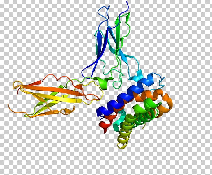Interferon Type III Interleukin 29 Interleukin 28 Receptor PNG, Clipart, Area, Art, Cytokine, Graphic Design, Interferon Free PNG Download