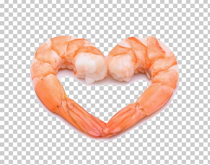 cooked shrimp clipart border