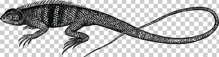 Reptile Lizard Common Iguanas Snake PNG, Clipart, Animal, Animal Figure, Animals, Artwork, Black And White Free PNG Download