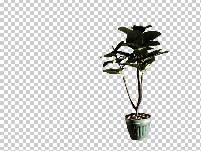 Plant Stem Leaf Houseplant Flowerpot Flora PNG, Clipart, Biology, Branching, Flora, Flower, Flowerpot Free PNG Download