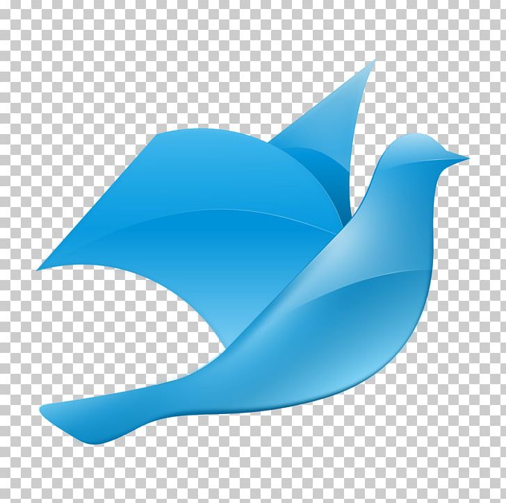 Columbidae Bird Doves As Symbols PNG, Clipart, Animals, Azure, Beak, Bird, Blue Free PNG Download