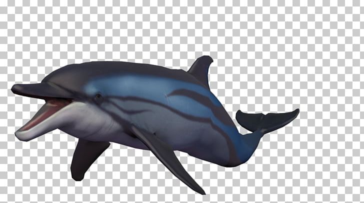 Common Bottlenose Dolphin Short-beaked Common Dolphin Wholphin Tucuxi Rough-toothed Dolphin PNG, Clipart, Animal, Animals, Art, Bless Online, Bottlenose Dolphin Free PNG Download