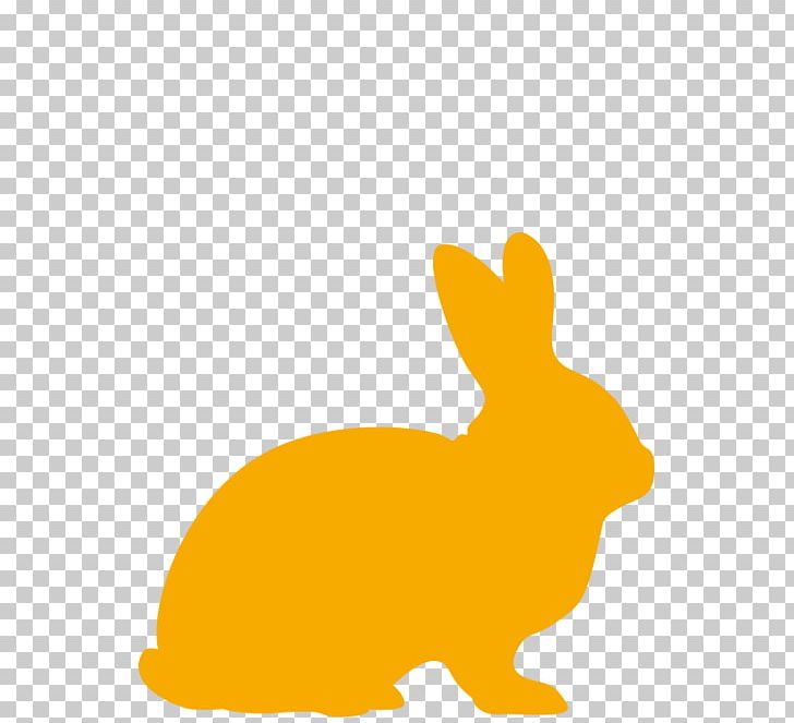 Domestic Rabbit Hare Haydon Veterinary Group Easter Bunny Rex Rabbit PNG, Clipart, Animal, Animals, Domestic Rabbit, Easter Bunny, Fauna Free PNG Download
