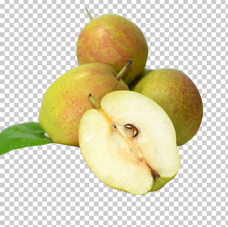 Pyrus Nivalis European Pear Xiangli Wholesale Food PNG, Clipart, Apple, Apple Pears, Auglis, Delicious, Diet Food Free PNG Download