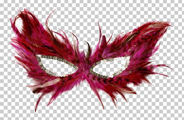 Mask Feather Masquerade Ball PNG, Clipart, Animals, Art, Ball, Carnival, Costume Party Free PNG Download