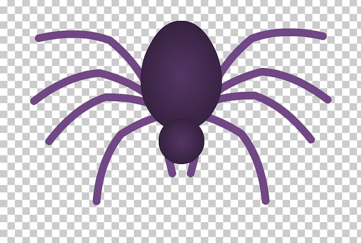 Spider Web Pholcus Phalangioides PNG, Clipart, Arachnid, Arthropod, Camouflage, Desktop Wallpaper, Flickr Free PNG Download