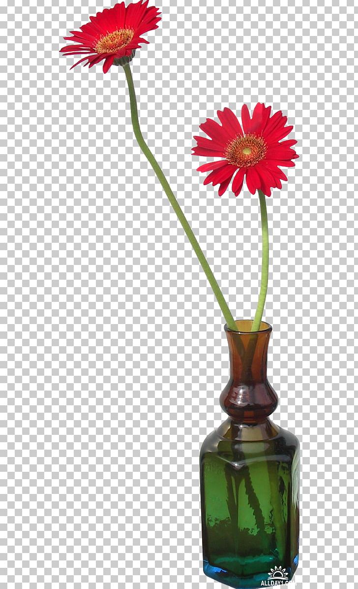 Transvaal Daisy Vase Flower PNG, Clipart, Cut Flowers, Daisy Family, Download, Dwg, Encapsulated Postscript Free PNG Download